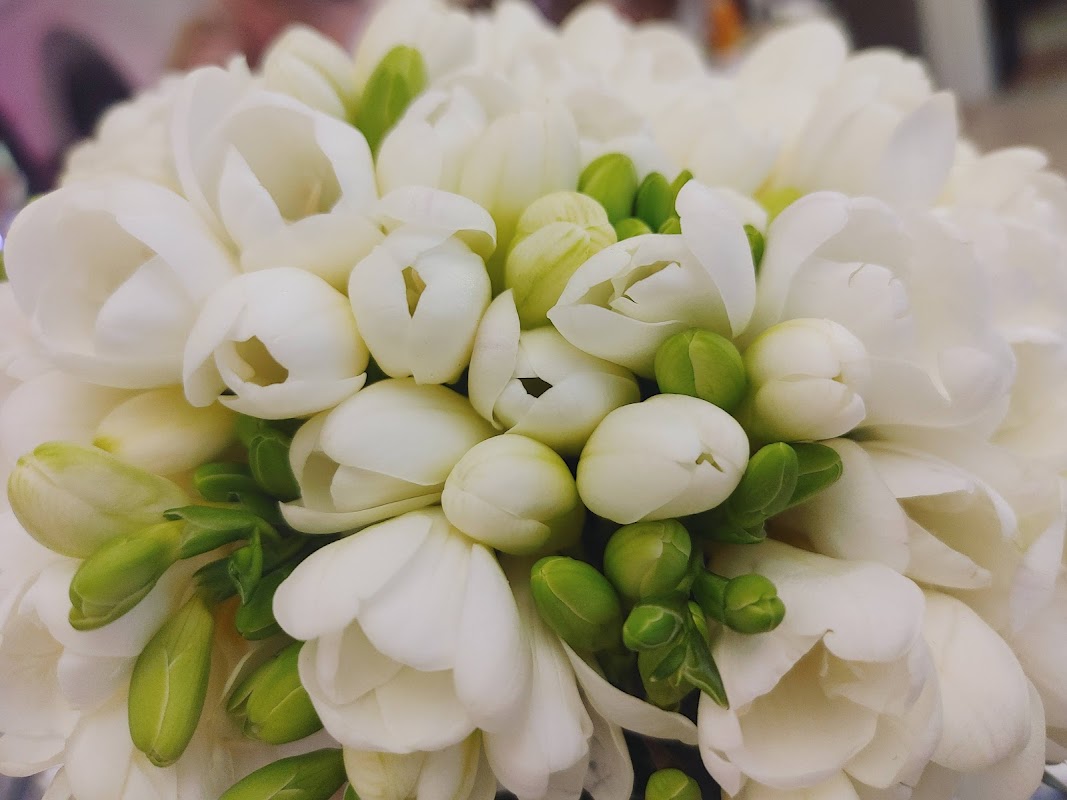 Vista 9 de Zajazd "pod Różami" - Działalność Hotelarsko-Gastronomiczna